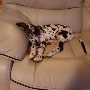 Meet your Posher, Kaitlynn